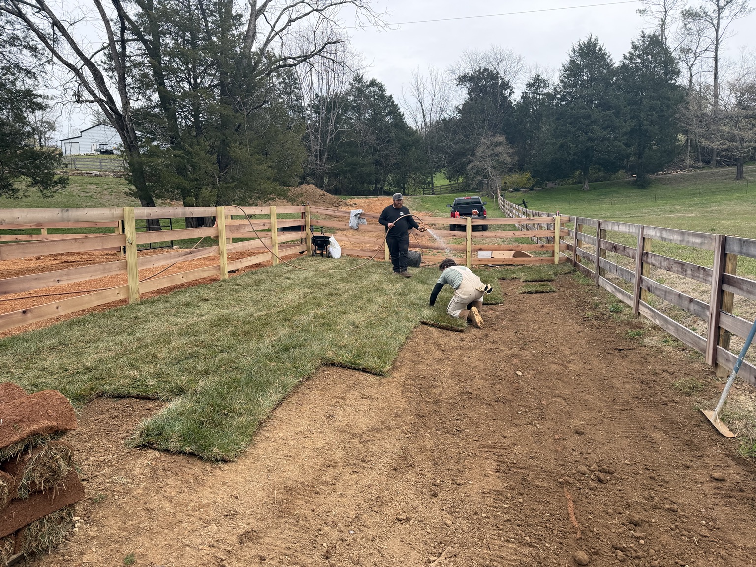 Sod installation and site restoration
